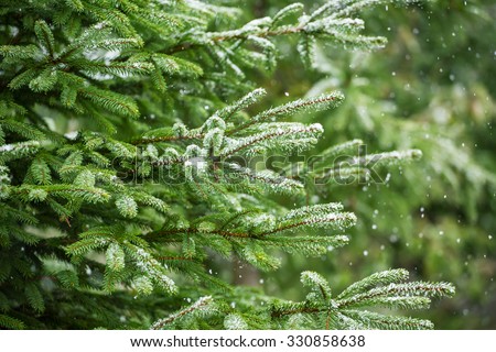 Evergreen auto works coupons