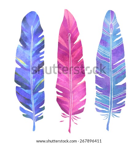 Hand painted watercolor bird feathers closeup isolated on white background colorful set. Art scrapbook elements, sketch, hand drawn 