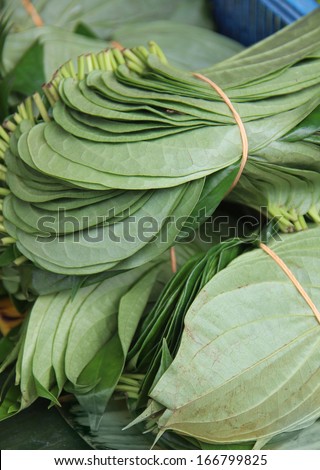 betel leaf on the market