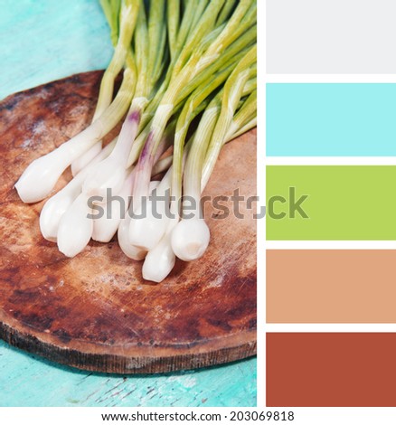 Green onions on a wooden shabby background.  color palette swatches.
