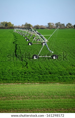 irrigation pivot watering on vegetable field 2