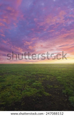Open field of meadow green grass in foreground with beautiful pastel sunset above in sky/Open field of grass with beautiful sunset above in sky