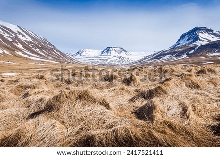 Similar – Image, Stock Photo Minnibakki Nature