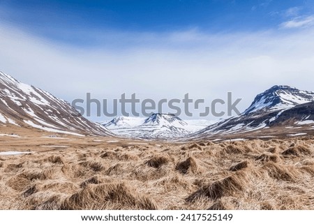 Similar – Image, Stock Photo Minnibakki Nature