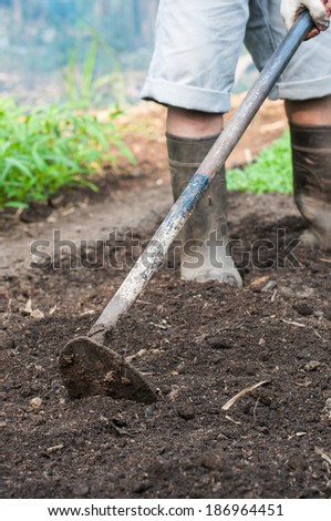Gardener digging with garden spade in black earth soil