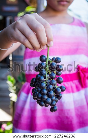 Hand holding Fresh Red Bunch of Grapes
