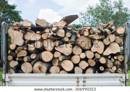 timber on timber truck