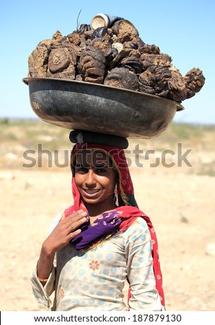 RAJASTHAN, INDIA - FEB 27 : a woman carries a basin full of cow dung on her head on February 27, 2013 in Rajasthan, India. Cow dung will be caked, dried and used as cooking fuel for villagers in India.