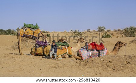 Jaisalmer, India - February 25, 2013: Cameleer at the Sam Sand Dune. Camel riding activity for tourists is another income source for desert villagers apart from farming and animal raising