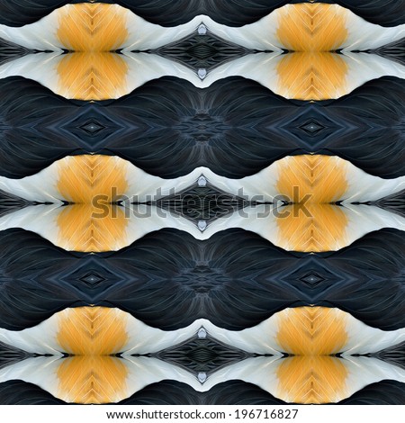 Seamless background pattern made of Crown Crane bird's feathers