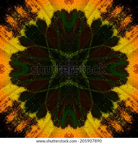 Dark Green inside Yellow background pattern made of butterfly\'s wing skin texture
