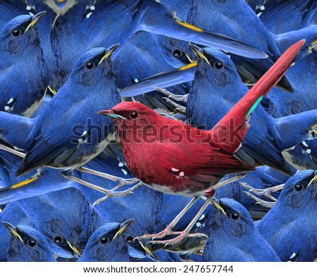 The Beautiful Red bird standing among the compilation of blue birds in background