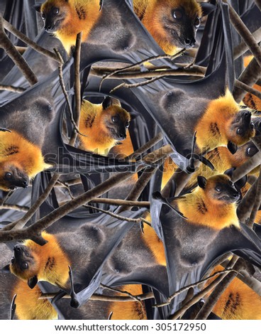 Many heads of scary hanging flying fox consolidated in an extremely scary picture