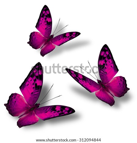 Set of beautiful flying pink butterflies on white background with nice soft shadows, exotic butterflies