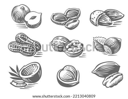 Sketch of nuts. Engraved set