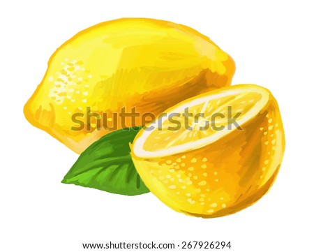 vector paint hand drawn picture of lemon