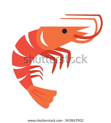 vector color prawn icon on white background