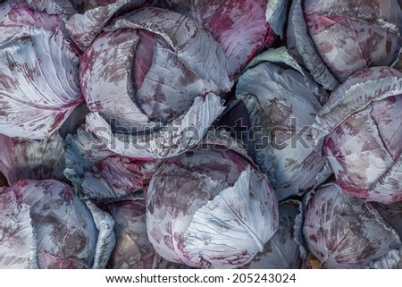Farmers market red cabbage background. At the farmers market local growers come and sell their freshly picked crops at reasonable prices.
