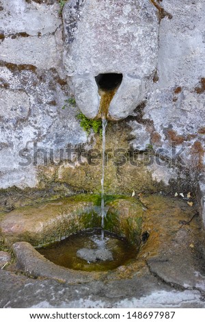 wild and natural stone water source
