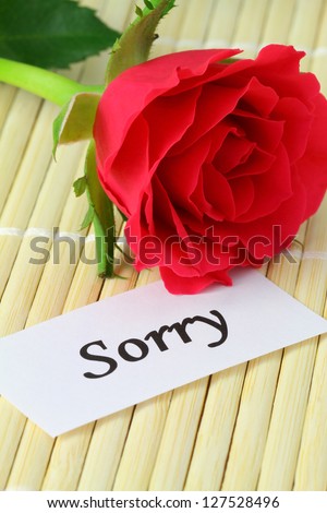 Sorry Card With Red Rose Stock Photo 127528496 : Shutterstock