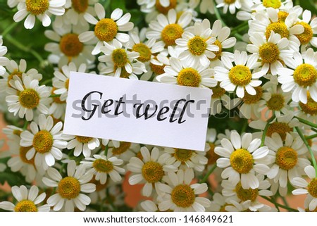 Get well card on chamomile flowers