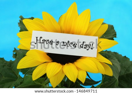 Have a nice day card on sunflower