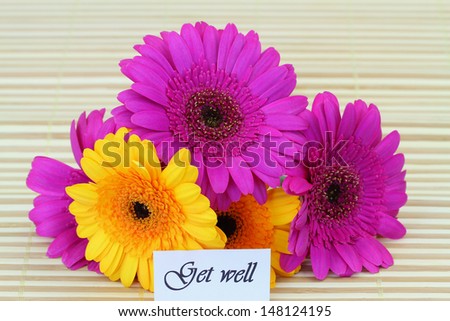 Get well card with colorful gerbera daisies