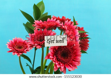 Get well card with dark pink gerbera daisies