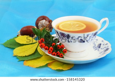 Lemon tea in vintage cup with rowan berries, chestnuts and autumn leaves on blue background