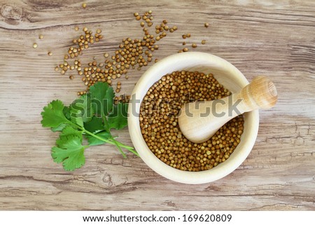 Coriander seeds in mortar and fresh coriander leaves