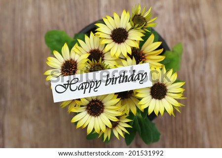 Happy birthday card with yellow daisies