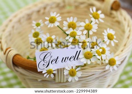 Get well card with chamomile flowers in wicker basket