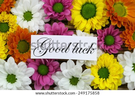 Good luck card with colorful Santini flowers