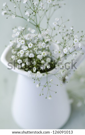Baby\'s breath flowers arrangement in a white vase. Selective focus. Gypsophila paniculata.
