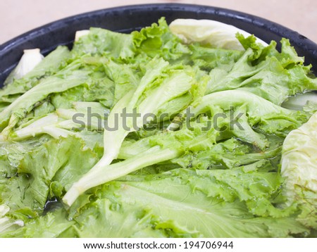lettuce And Chinese cabbage in a bowl of water to cook black.