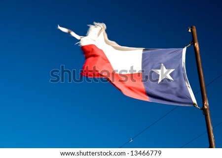 Waving Texas Flag on Spring Morning