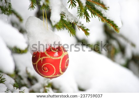 Green and red Christmas decoration hangs from fir branch outside. There is snow on the branches and in the background