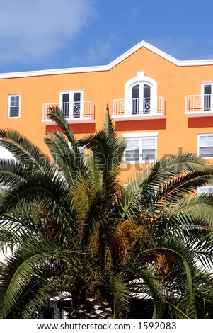 Bright orange building with palm trees