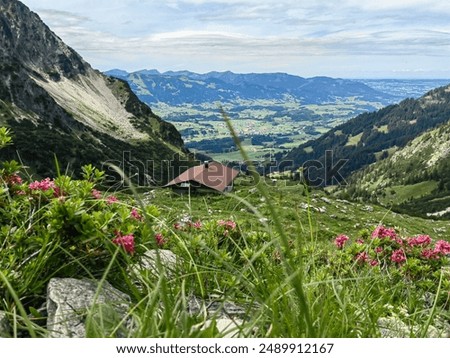 Similar – Foto Bild Ausblick im Allgäu