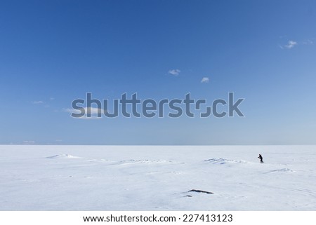 Ice and snow on a sunny sea, ocean. Skier far out on the white winter sea.