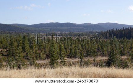 Vast areas of forests in rural area. Trees, spruce, pine and small lakes and sporadic bog, morass, mire, fen, wet areas in sight.
