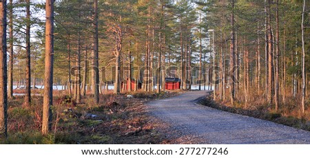 A gravel road, trees in late evening lit. Some small red cabins along the road.