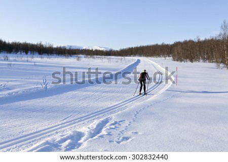 LAPLAND, SWEDEN ON MARCH 16. Unidentified cross-country skier runs along a track on March 16, 2015 in Lapland, Sweden. Bright sunny afternoon, well prepared tracks.