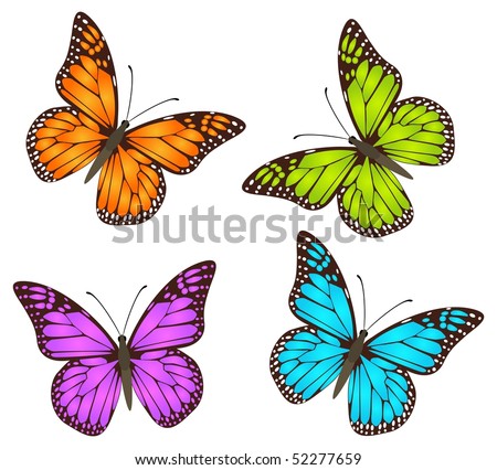 Vector Butterflies, Multicolour Imagination About Danaus Plexippus ...