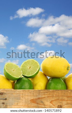 fresh lemons and lime fruits and some cut ones in wooden crate against a blue sky with clouds