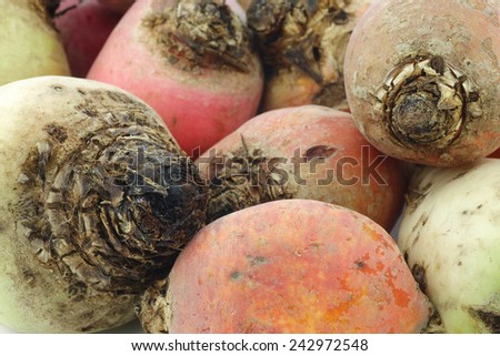 colorful mix of red,yellow and white beets background