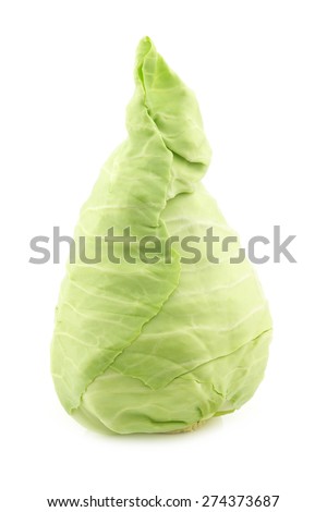 freshly  harvested green pointed cabbage on a white background