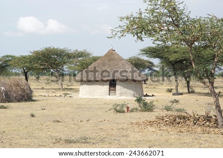 Traditional houses, Great Rift Valley, Ethiopia, Africa
