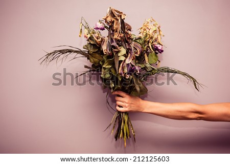 A woman\'s hand is holding a bouquet of dead flowers
