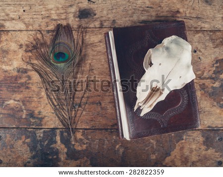 An old notebook with a peacock feather and a sheep skull on a wooden desk